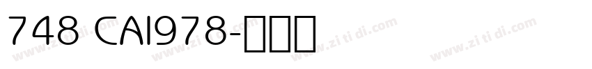 748 CAI978字体转换